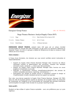 Energizer Group France Stage Finance Business