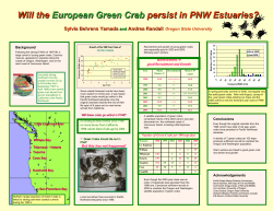 Will the European Green Crab persist in PNW Estuaries?
