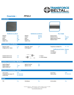 Courroie : FP32-2 - Transforce Beltal Inc.