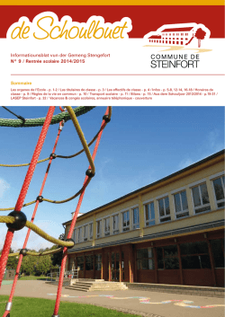 Informatiounsblat vun der Gemeng Stengefort N&deg; 9