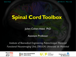 Julien Cohen-Adad, PhD Assistant Professor Institute of