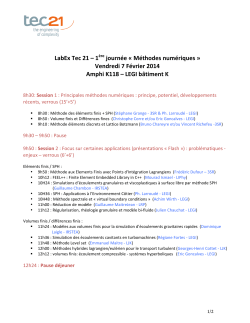 LabEx Tec 21 – 1ère journée « Méthodes numériques » Vendredi 7