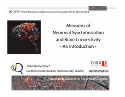 Measures of Neuronal Synchronization and Brain Connectivity