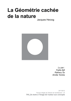 La Géométrie cachée de la nature
