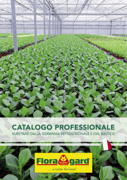 Catalogo_Professionale 2015 IT