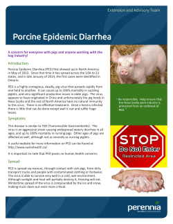 Porcine Epidemic Diarrhea