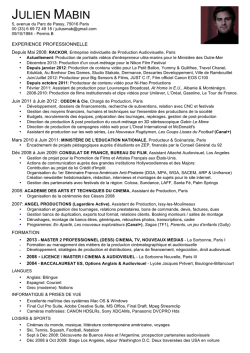 Julien Mabin &ndash; CV 2014