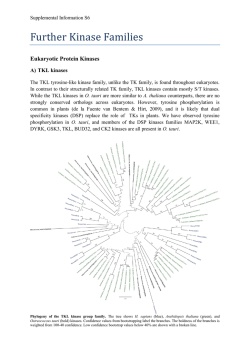 Supplemental Figure S6 Further kinase families