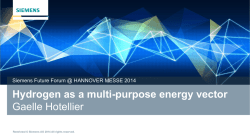 Hydrogen as a multi-purpose energy vector