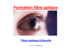 Formation fibre optique IUT - Fibres optiques et sécurité
