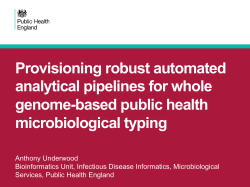 Provisioning robust automated analytical pipelines for whole