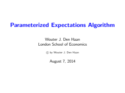 parameterized expectations algorithm PEA