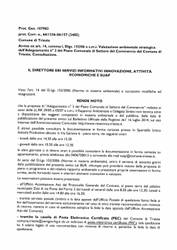 il direttore dei servizi informativi innovazione, attivita economiche e