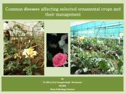 Disease - Agricultural Research and Extension Unit