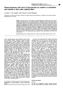 Human hepatoma cells rich in P-glycoprotein are sensitive to