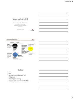 Image analysis in IHC