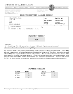 PKD1 AND IDENTITY MARKER REPORT CAT67101