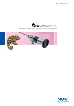 Sistema ottico con angolo di visione variabile