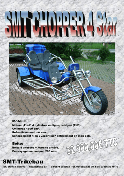 SMT-Trikebau - Trike