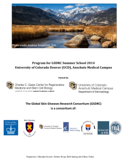 GSDRC summer school 2014 - University of Colorado Denver