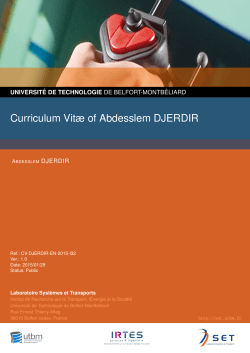 Curriculum Vitæ of Abdesslem DJERDIR