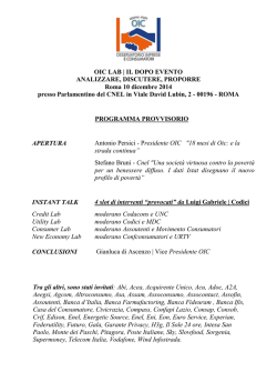 Il programma provvisorio
