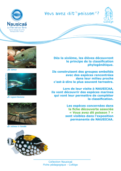 Fiche p&eacute;dagogique "Vous avez dit poisson ?"