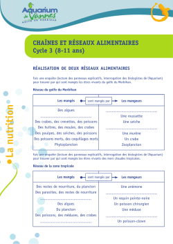 Nutrition chaines et réseaux cycle 3