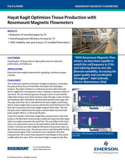 Hayat Kagit Optimizes Tissue Production with Rosemount Magnetic
