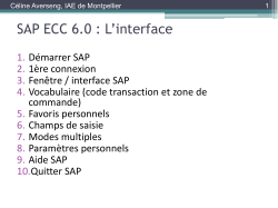 Introduction à SAP ECC 6.0