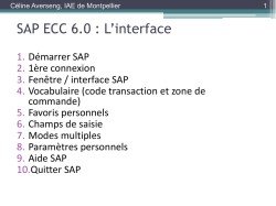 Introduction &agrave; SAP ECC 6.0