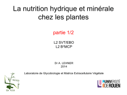 Nutrition minérale chez les plantes - Laboratoire de Glycobiologie et