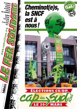 Fer Solidaire elections 2014 - SUD
