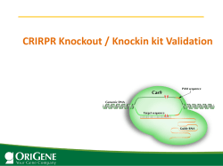 CRIRPR Knockout / Knockin kit Validation