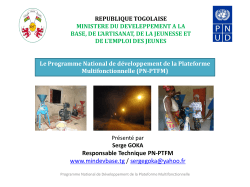 La plateforme multifonctionnelle au Bénin