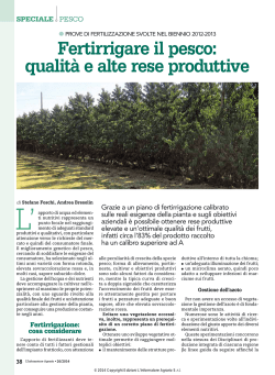 Fertirrigare il pesco: qualit&agrave; e alte rese produttive