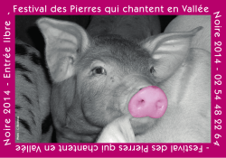 Festival des Pierres qui chantent en Vallée N o ire 2 0 1 4