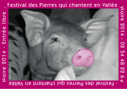 Festival des Pierres qui chantent en Vall&eacute;e N o ire 2 0 1 4