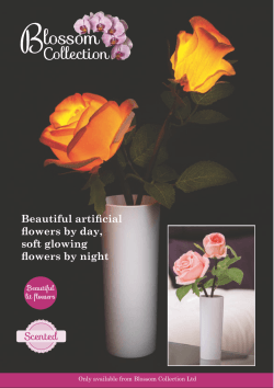 Brochure - The Blossom Collection