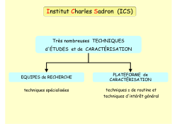 Institut Charles Sadron (ICS)