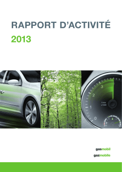 Rapport d activité 2013 - Le gaz naturel / biogaz