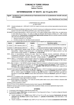 COMUNE DI TORRE ORSAIA DETERMINAZIONE N° 60/UTC del 10
