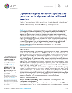 G-protein-coupled receptor signaling and polarized actin