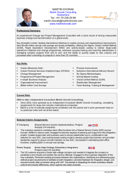 CV in English (PDF) - Martin Dvorak Consulting