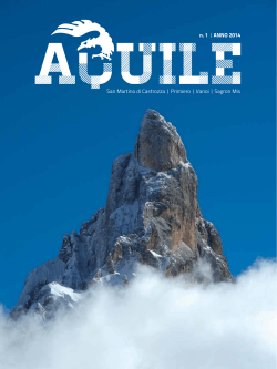 aquile-0 - Guide Alpine - San Martino di Castrozza