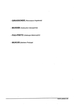 GIRASSONDE (Pterocarpus Angolensis) MUS1B1 (Gu&iacute;bourtia