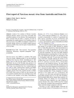 Download PDF