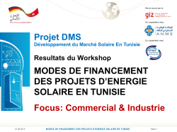 Projet DMS MODES DE FINANCEMENT DES