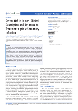 Severe Orf in Lambs: Clinical Description and