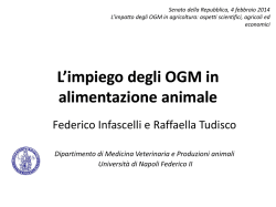 Infascelli Roma Senato 2014